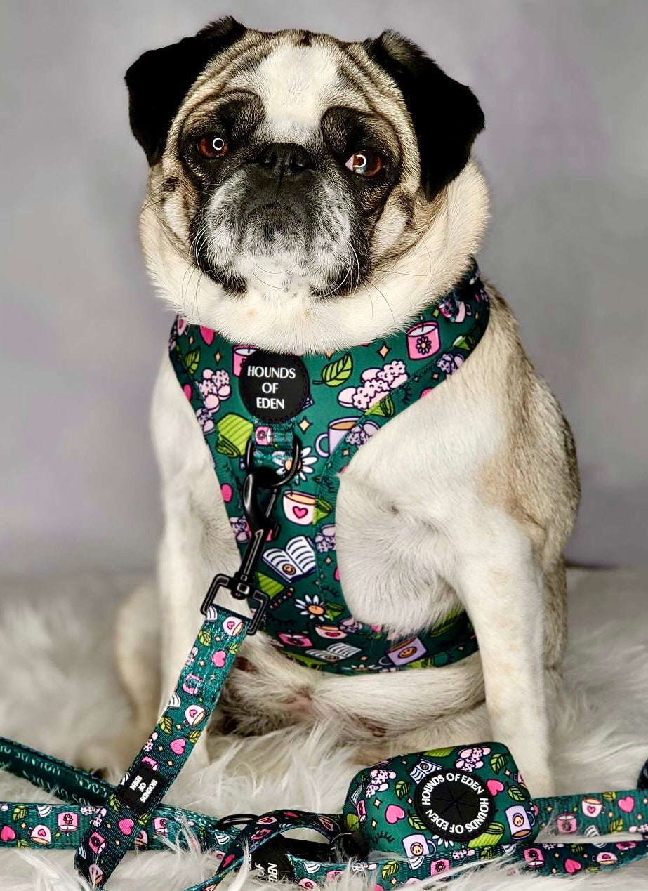 Self Care Design Dog Harness - The Bark Market