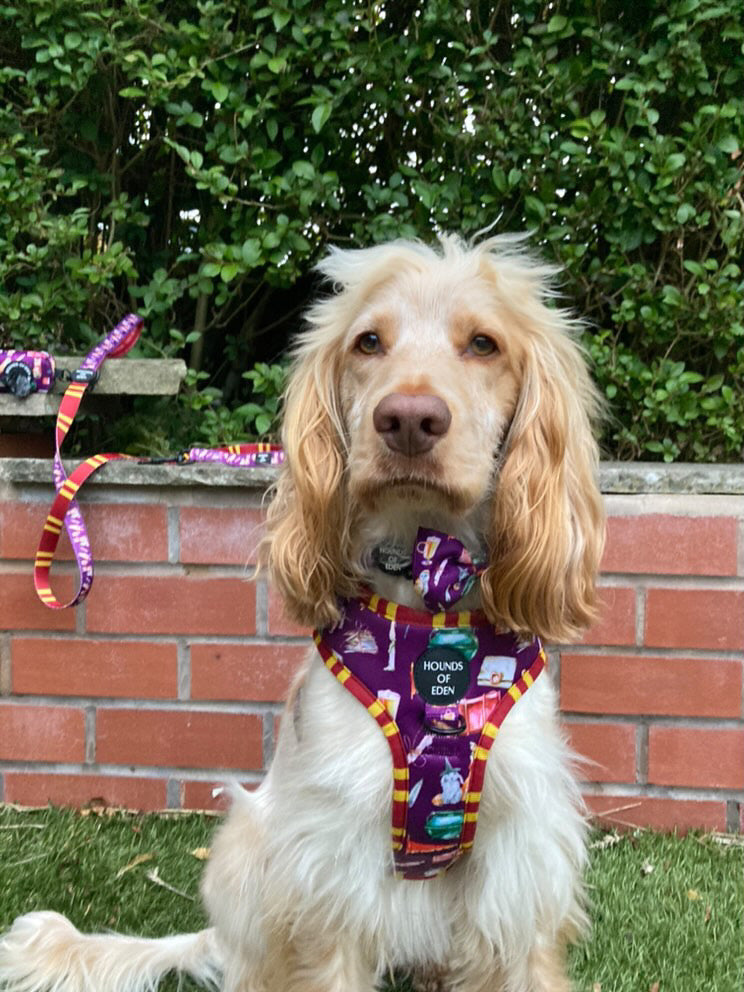Harry Pawter Design Dog Harness - The Bark Market