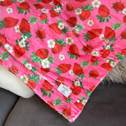 Strawberry Patch Snuggle Blanket - The Bark Market