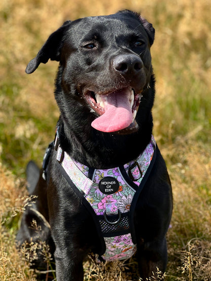 Supaw Strong™ Wild Blossom Utility Harness - The Bark Market