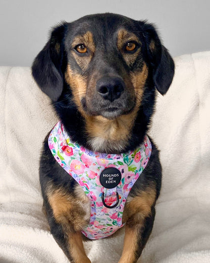 Ziggy's Secret Garden Design Dog Collar - The Bark Market
