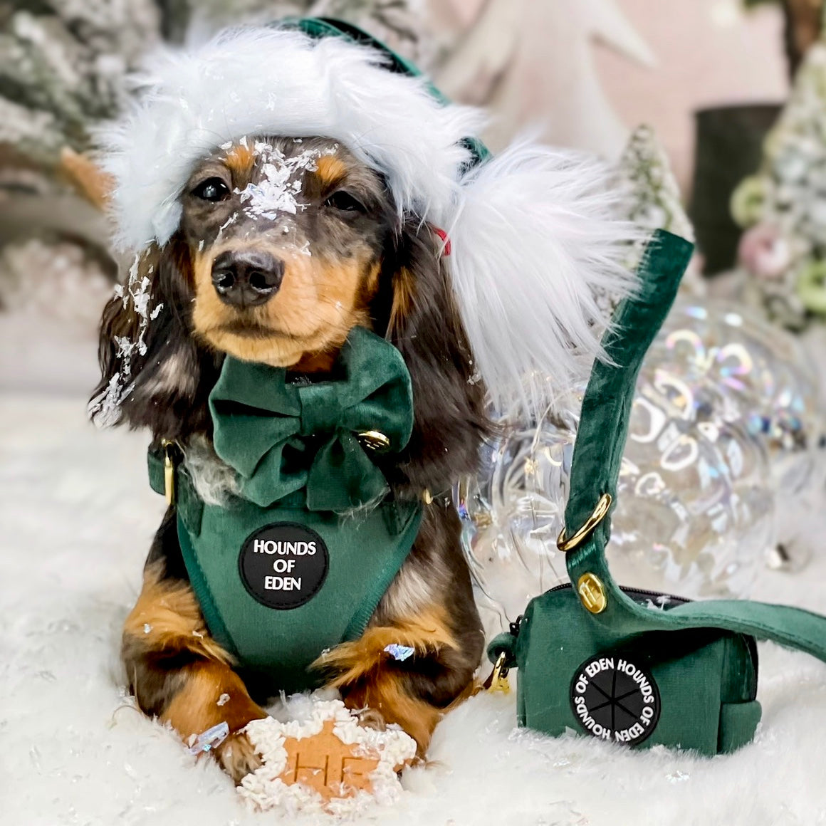 Olive Green Velvet Harness - The Bark Market