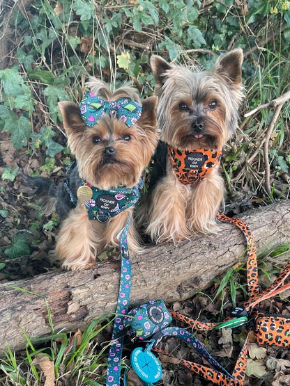 Burnt Orange Leopard Design Dog Collar - The Bark Market