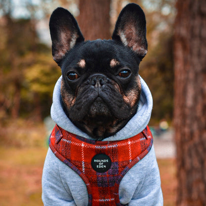 'Sammi' - Red & Grey Check Dog Harness - The Bark Market