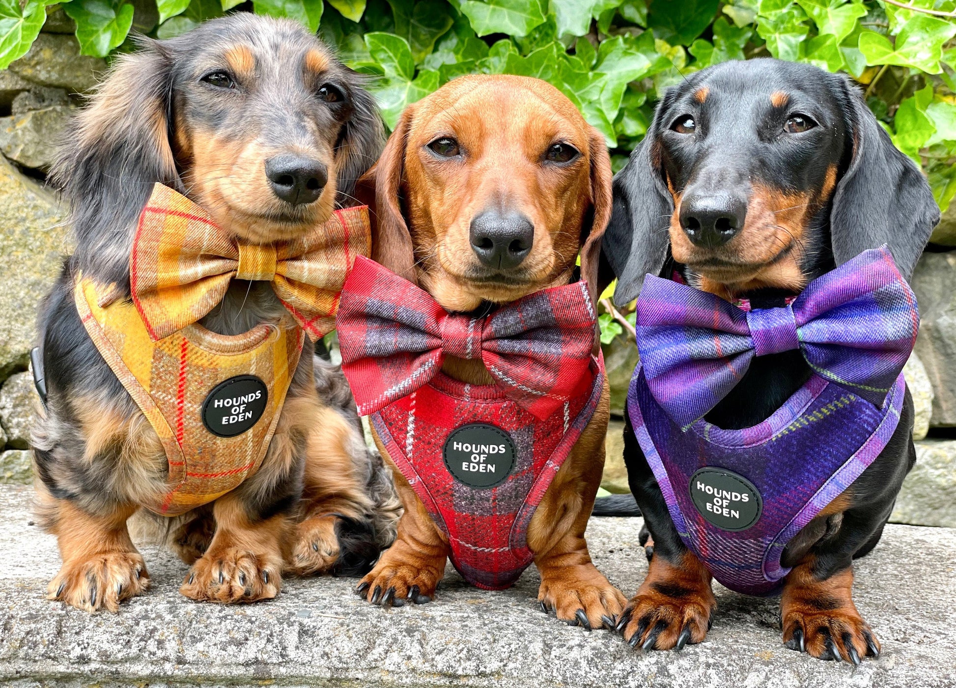 'Sammi' - Red & Grey Check Dog Harness - The Bark Market