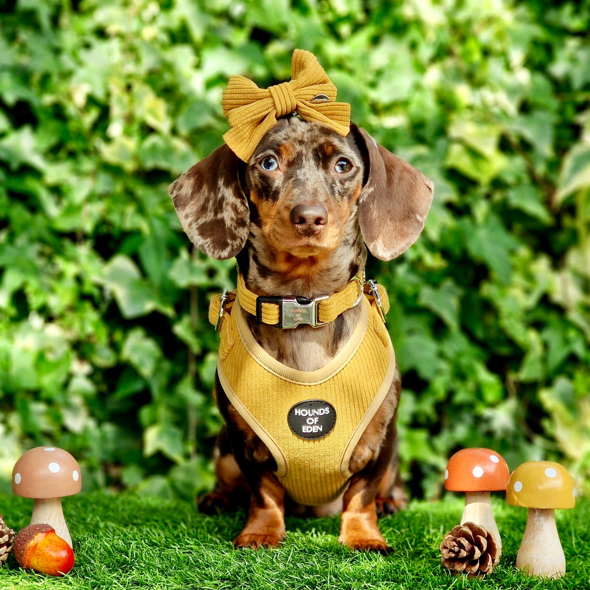 Mustard Yellow Corduroy Harness - The Bark Market