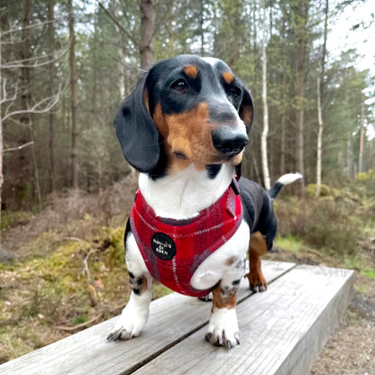 'Sammi' - Red & Grey Check Dog Harness - The Bark Market
