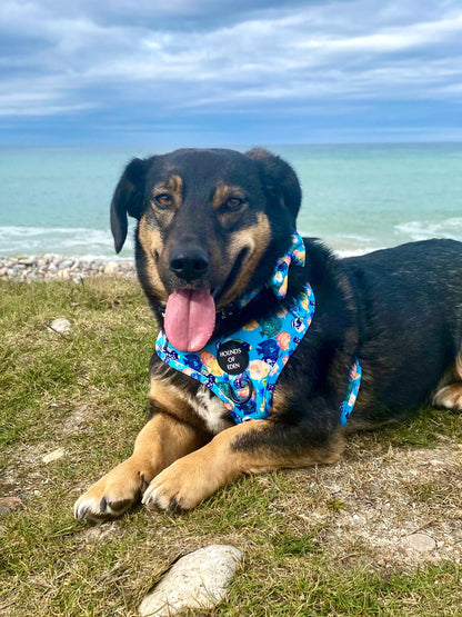 Under The Sea Design Dog Bow Tie - The Bark Market
