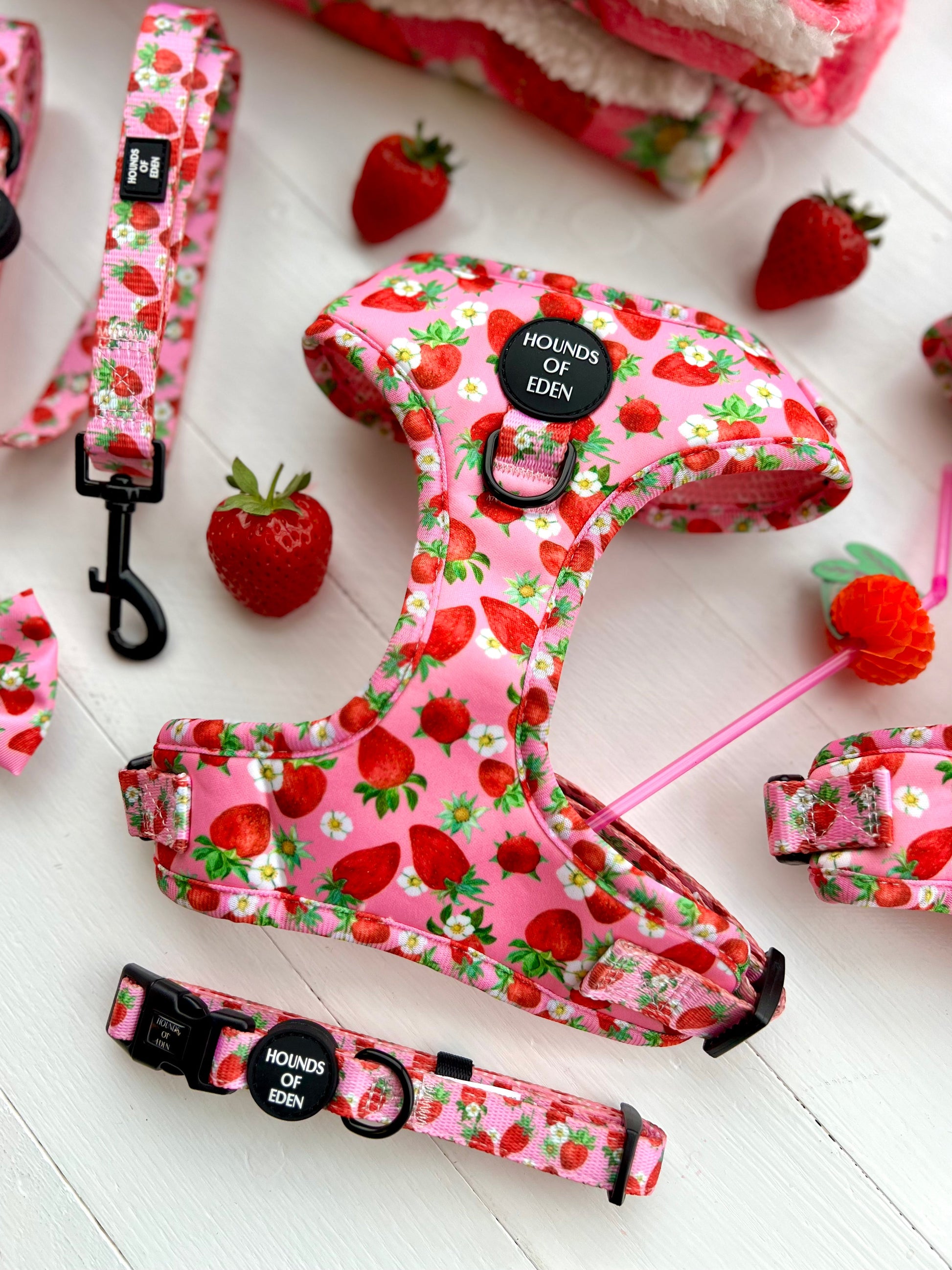 Strawberry Patch Design Dog Collar - The Bark Market