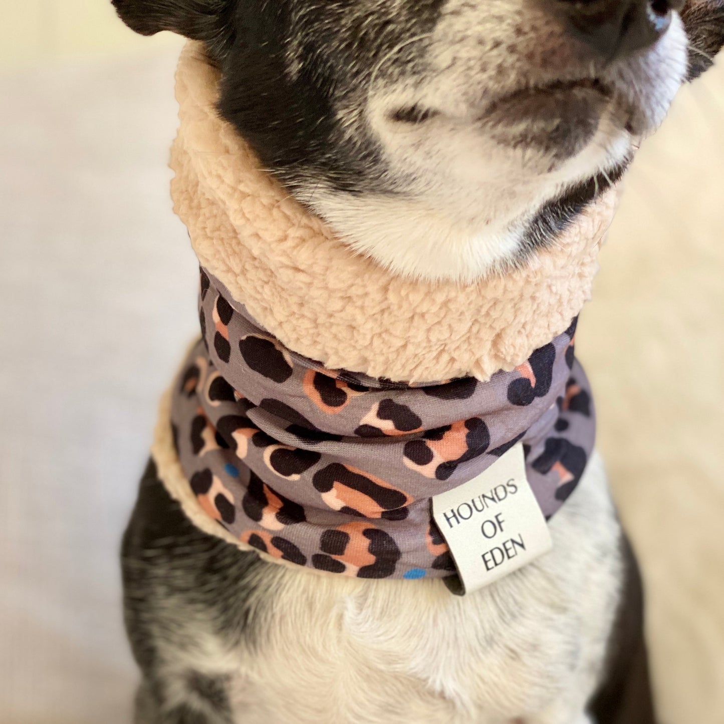 Steel Leopard Dog Snood - The Bark Market