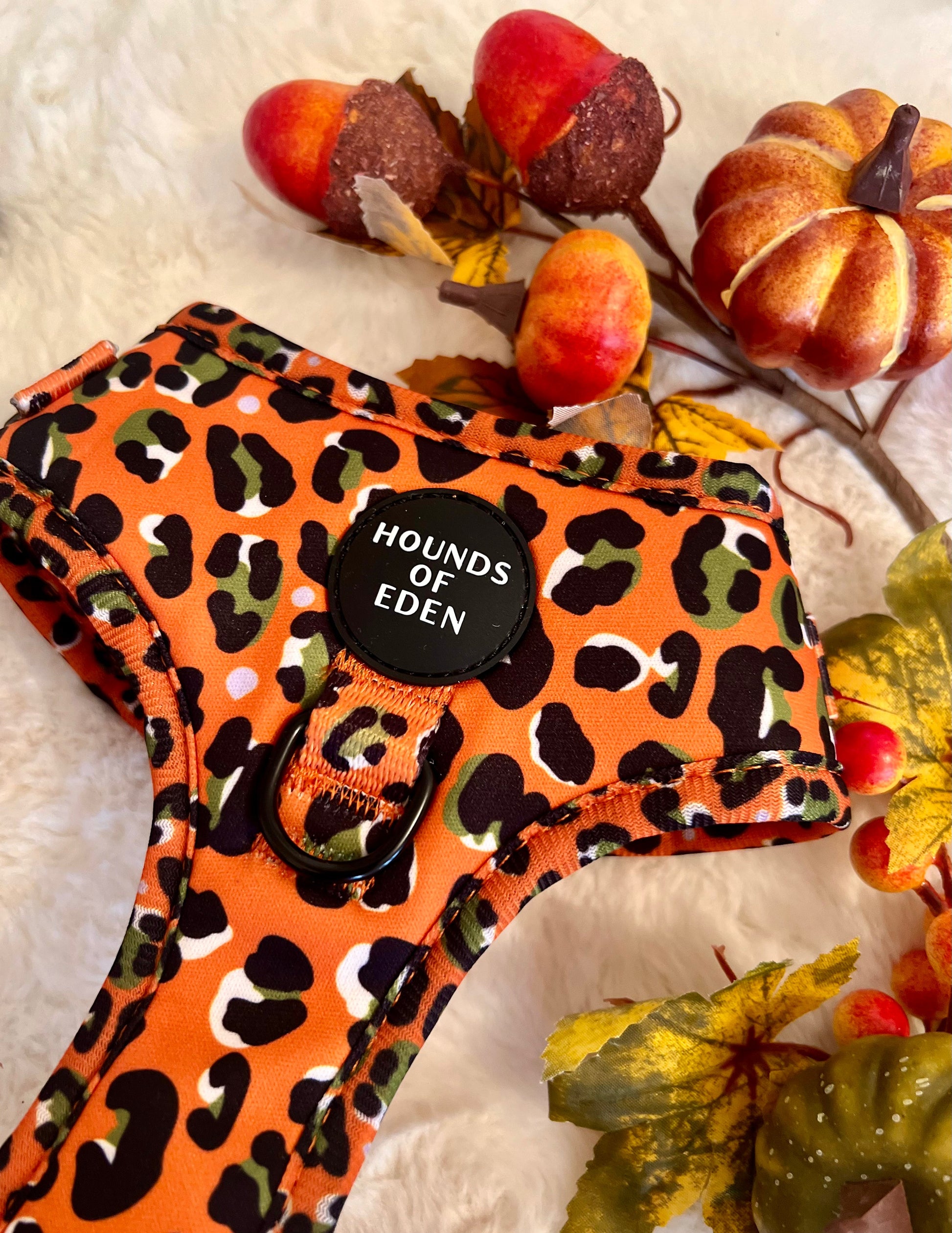 Burnt Orange Leopard Design Dog Harness - The Bark Market