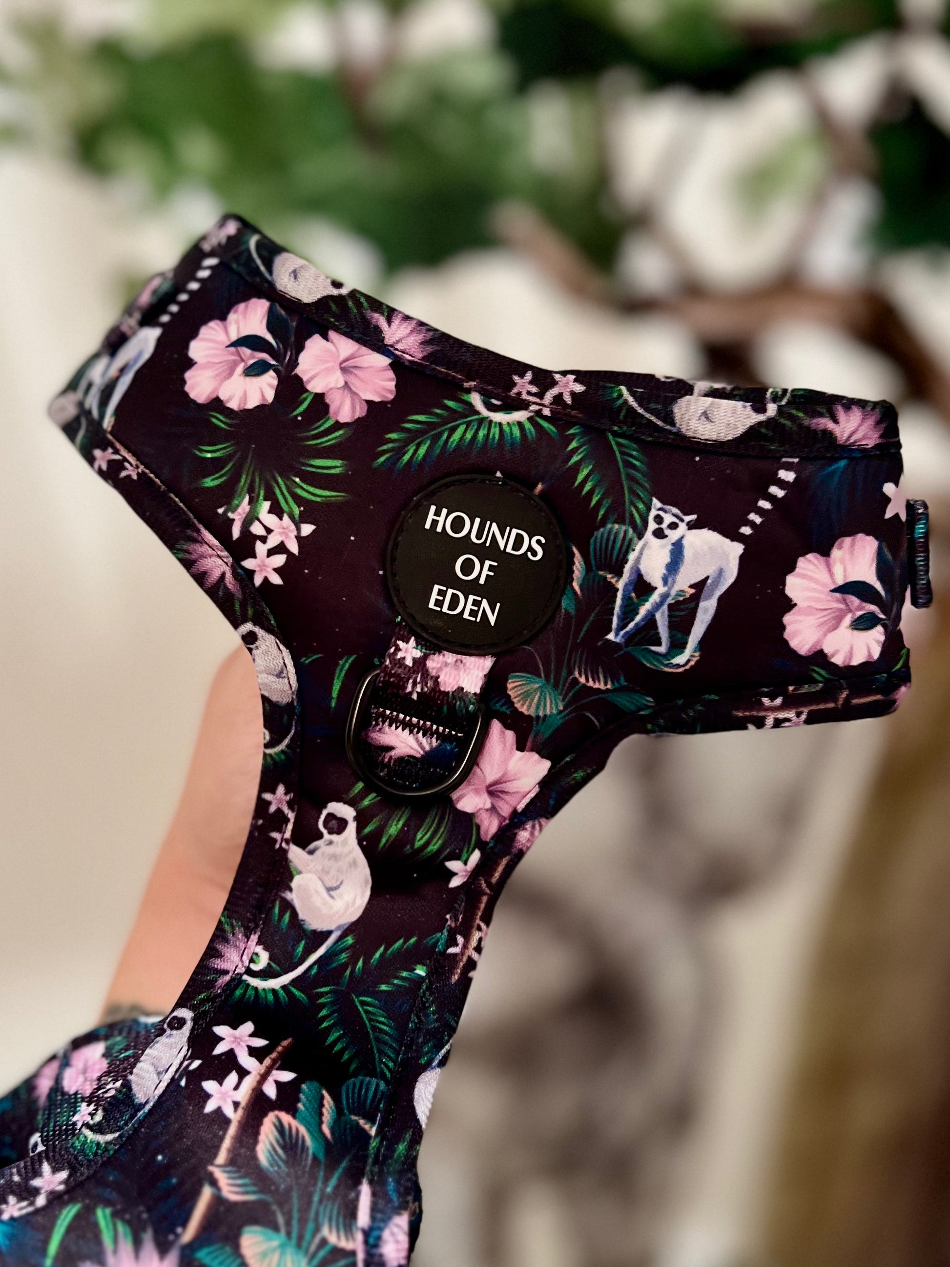 Midnight Madagascar Design Dog Harness - The Bark Market
