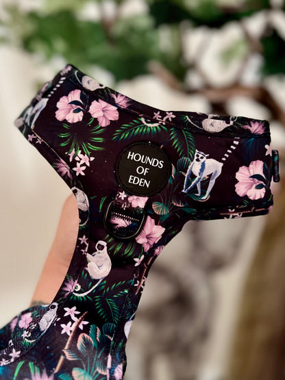 Midnight Madagascar Design Dog Harness - The Bark Market