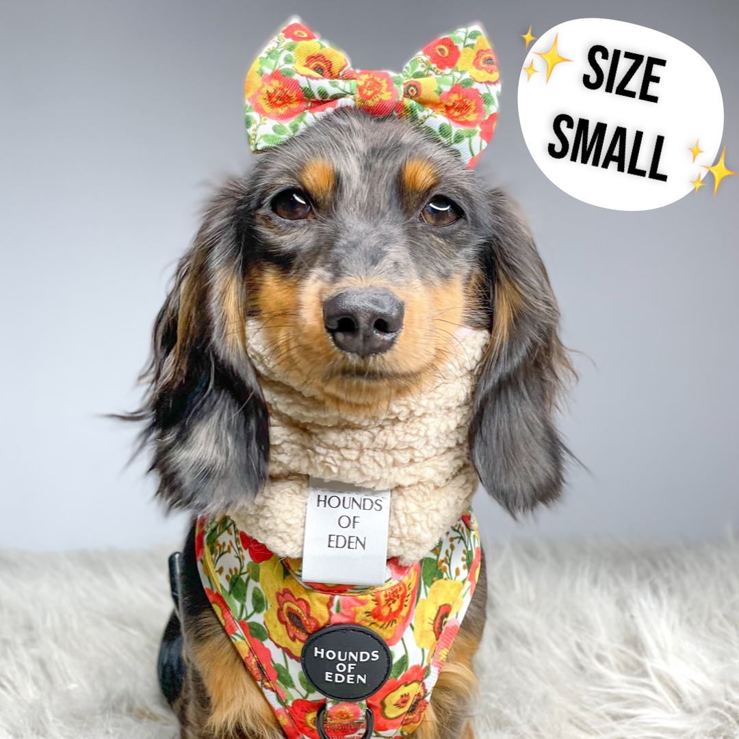 Autumn Blossom - Dog Snood - The Bark Market