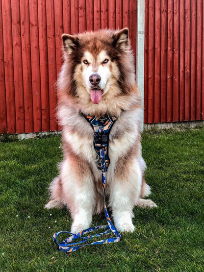 Supaw Strong™ 'Brush It Off' Utility Harness - The Bark Market