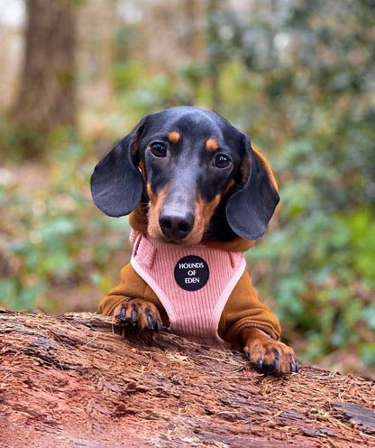 Peach Schnapps - Pink Corduroy Harness - The Bark Market