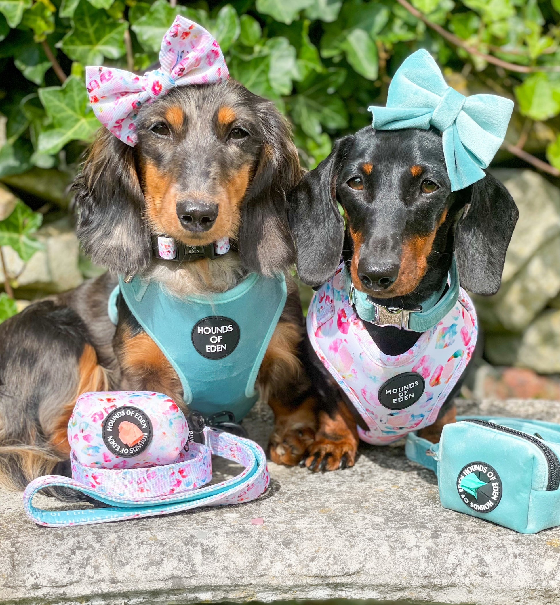 Tiffany's - Light Teal Velvet Dog Harness with Silver Metal Hardware - The Bark Market