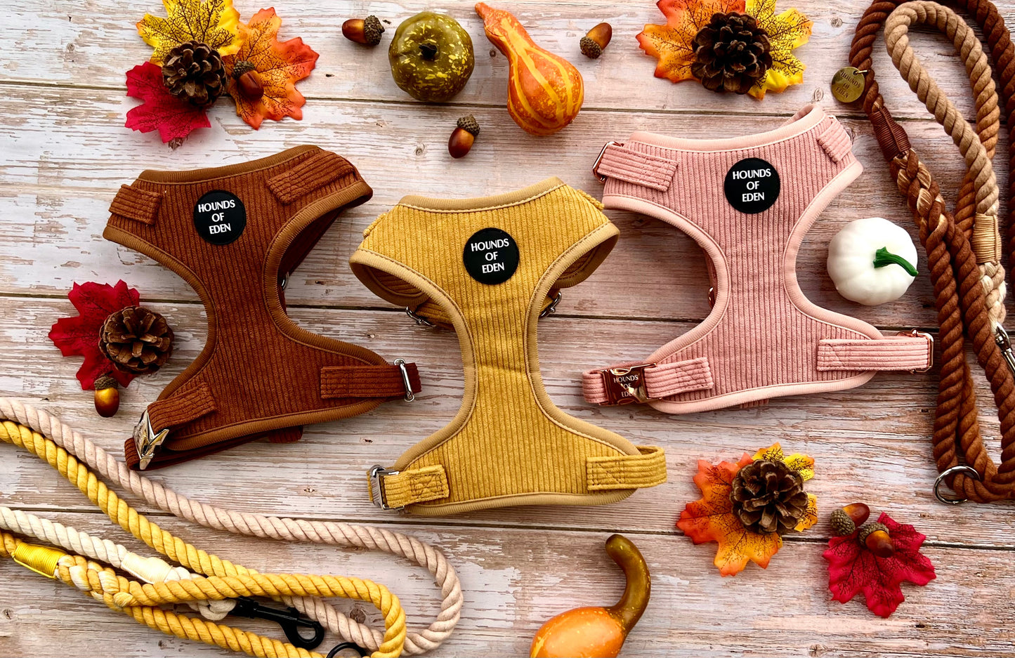 Mustard Yellow Corduroy Harness - The Bark Market