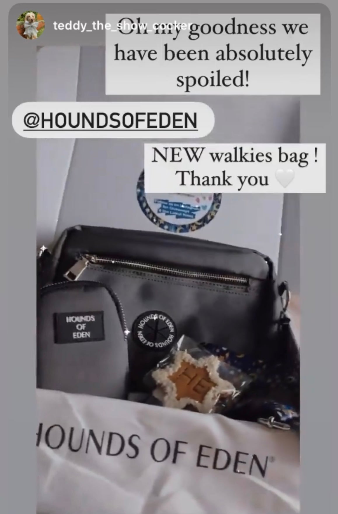 Ulti-Mate Dog Walking Bag - Grey *BAG ONLY* - The Bark Market
