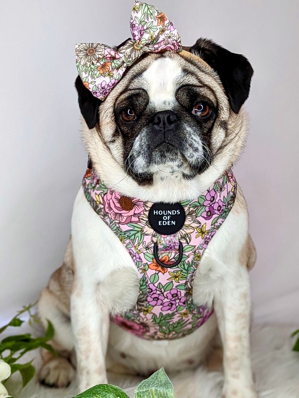 Wild Blossom- Design Dog Harness - The Bark Market