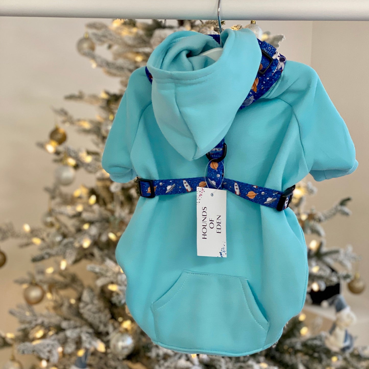 Dog Hoodie - Light Teal - The Bark Market