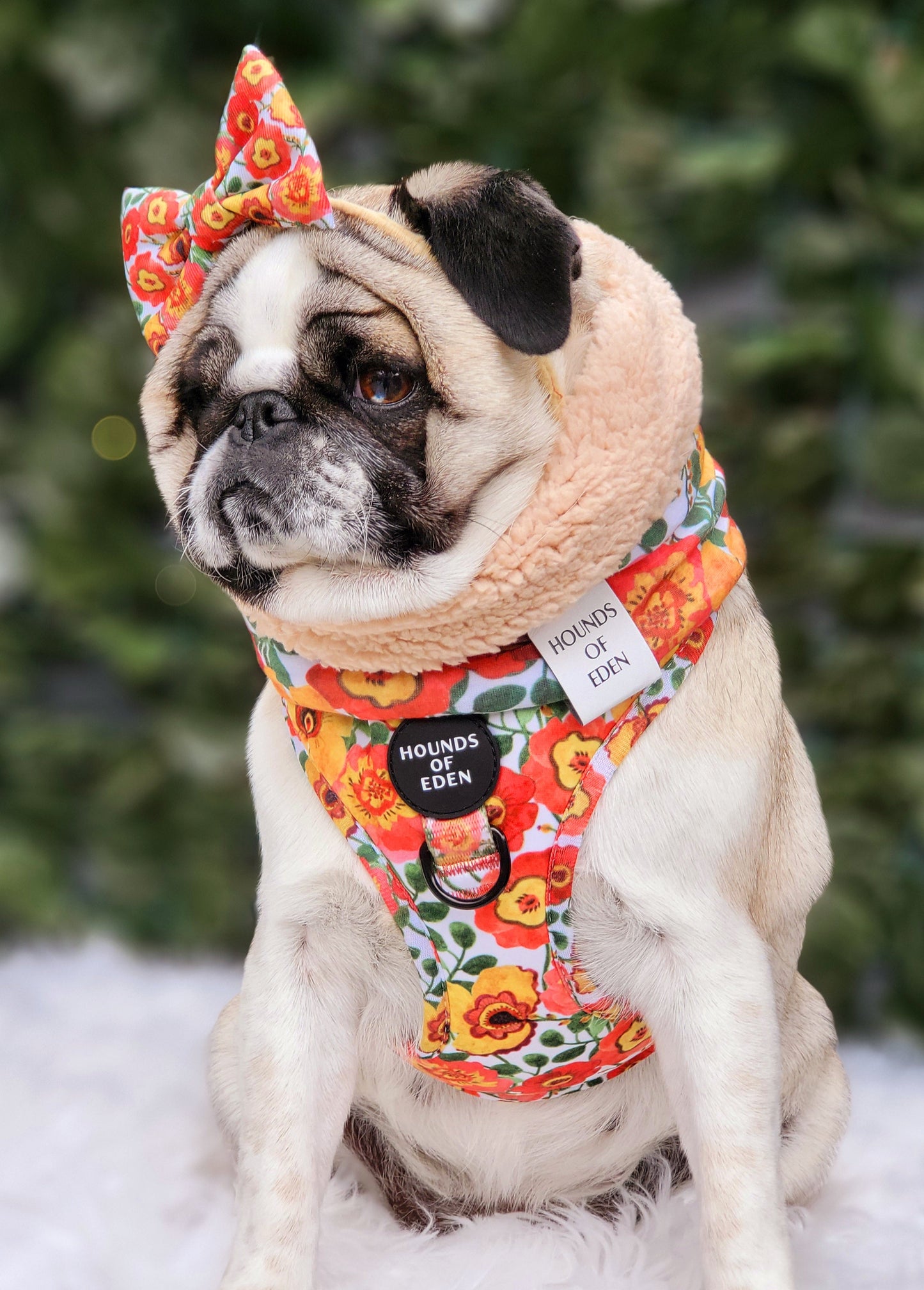 Autumn Blossom - Dog Snood - The Bark Market