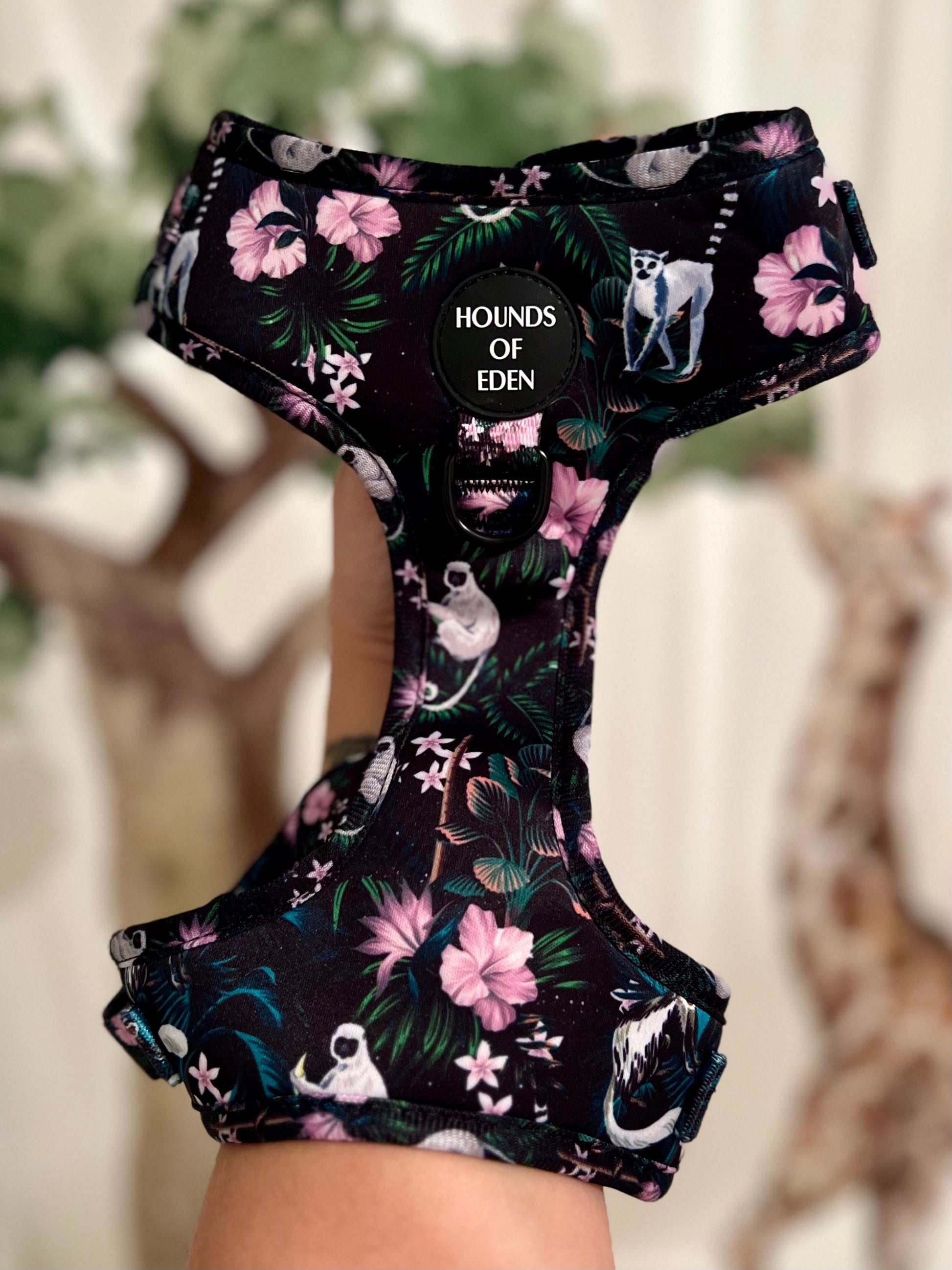 Midnight Madagascar Design Dog Harness - The Bark Market