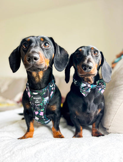 Midnight Madagascar Design Dog Harness - The Bark Market