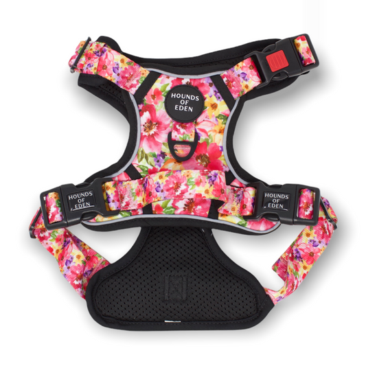 Supaw Strong™ 'Florentina' Utility Harness - The Bark Market