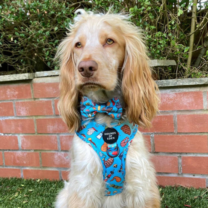Grill 'n' Chill - Dog Harness - The Bark Market