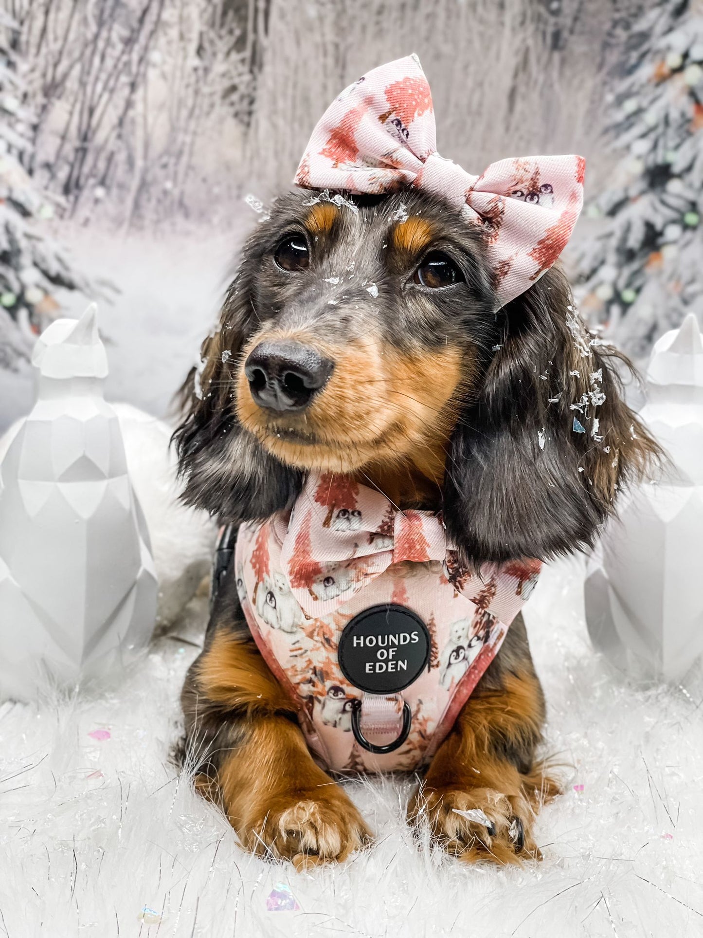 Arctic Wonderland - Dog Collar - The Bark Market