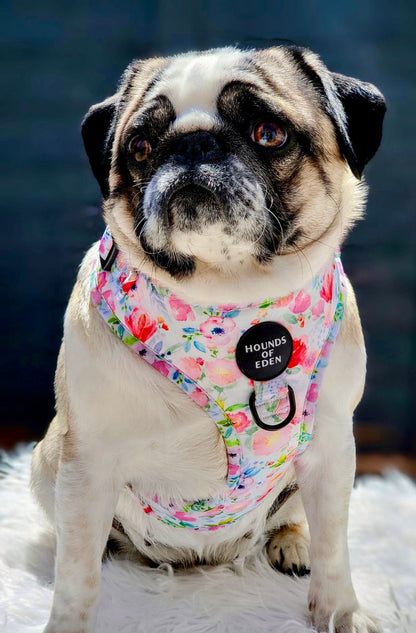 Ziggy's Secret Garden Design Dog Lead - The Bark Market