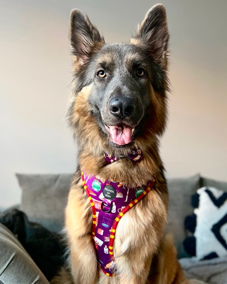 Harry Pawter Design Dog Bow Tie - The Bark Market