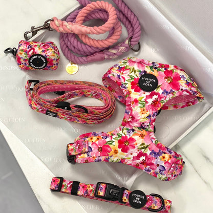 'Florentina' - Floral Dog Collar - The Bark Market