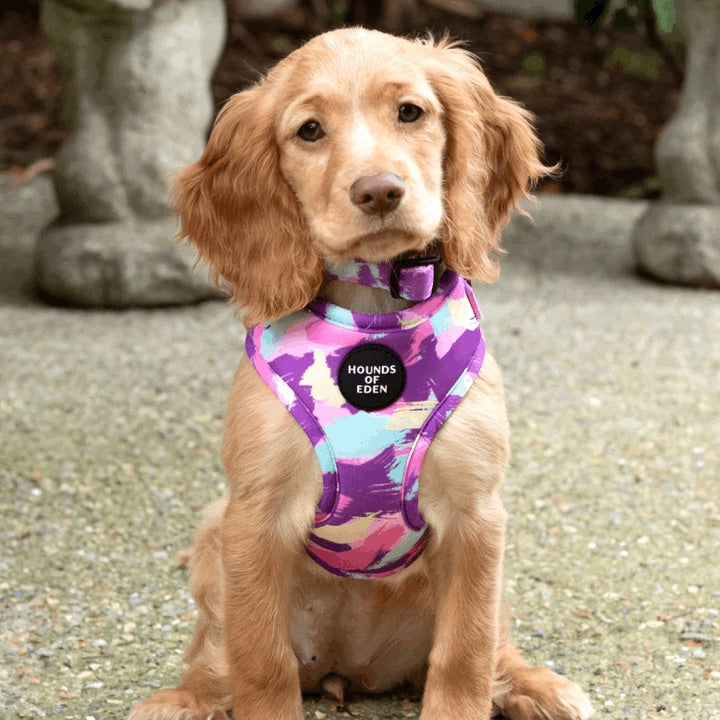 'Blush it Off' - Pink, Purple, Pastel Mint & Lemon Camo Pattern Dog Harness - The Bark Market