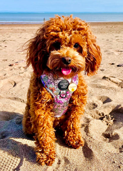 Wild Blossom- Design Dog Harness - The Bark Market