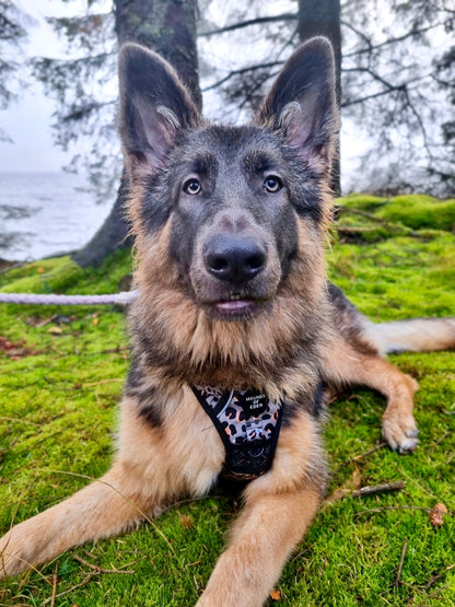 Supaw Strong™ 'Steel Leopard' Utility Harness - The Bark Market