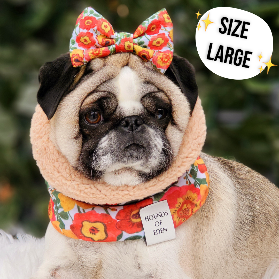 Autumn Blossom - Dog Snood - The Bark Market