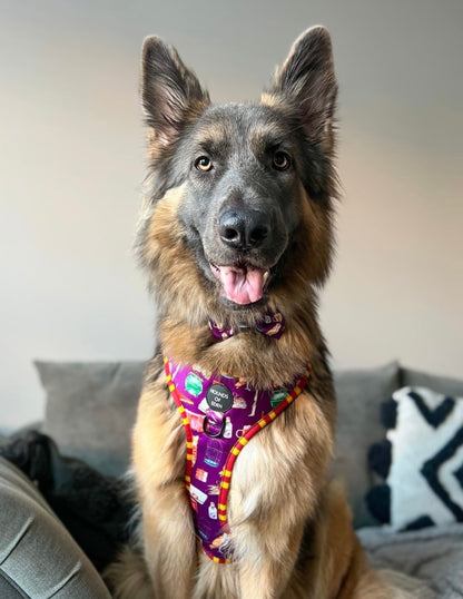 Harry Pawter Design Dog Harness - The Bark Market