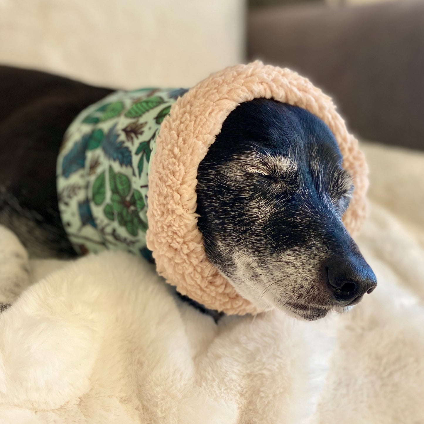 Ferntastic Dog Snood - The Bark Market
