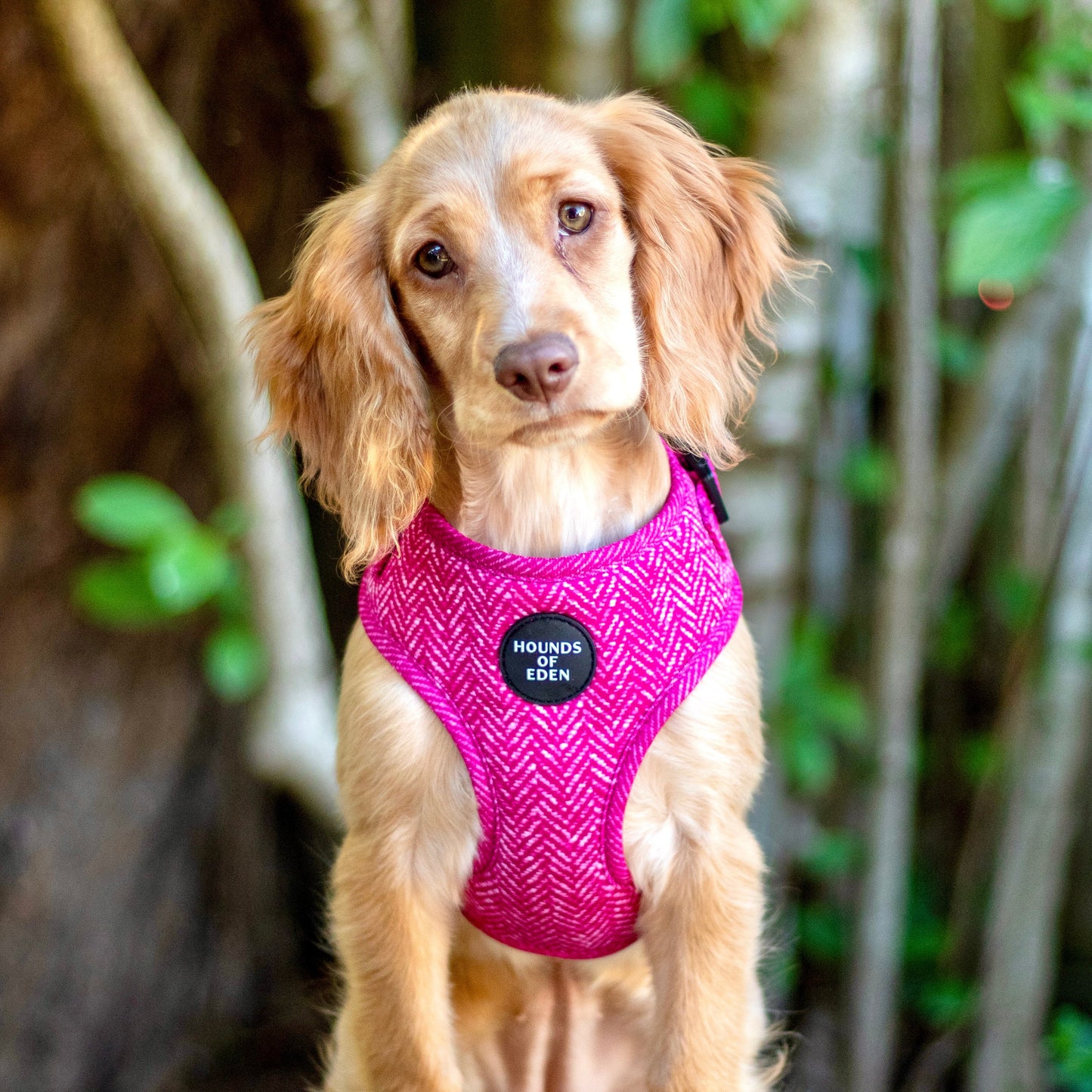 'Bella' - Pink Herringbone Dog Harness - The Bark Market