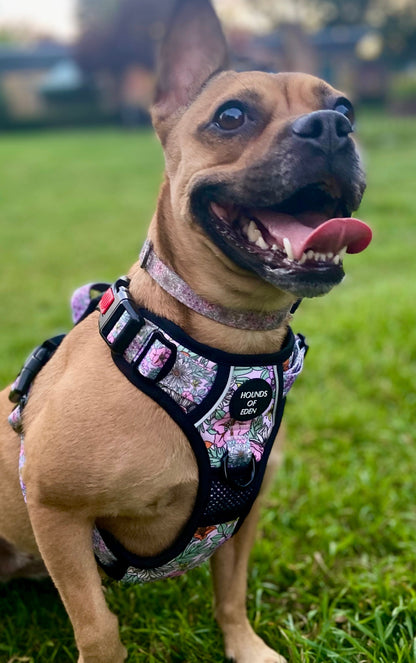 Supaw Strong™ Wild Blossom Utility Harness - The Bark Market