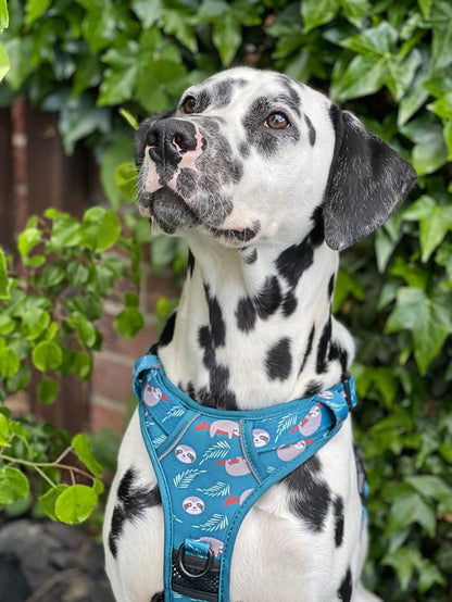 Lazy Sloth No Pull Tactical Dog Harness – Blue Teal Sloth Print, Adjustable, Step-In (Small-XL) 🦥 - The Bark Market