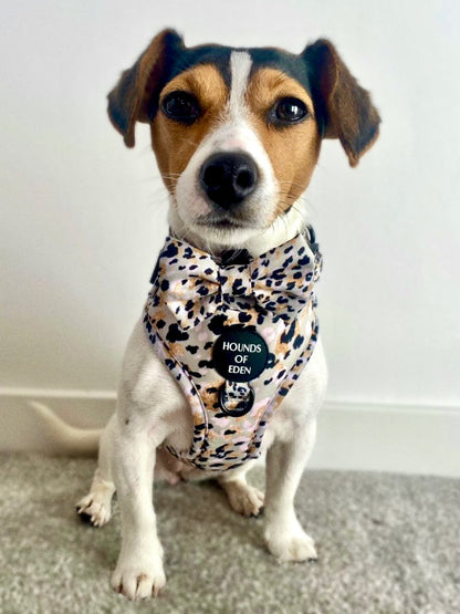 Sage Leopard Design Dog Harness - The Bark Market