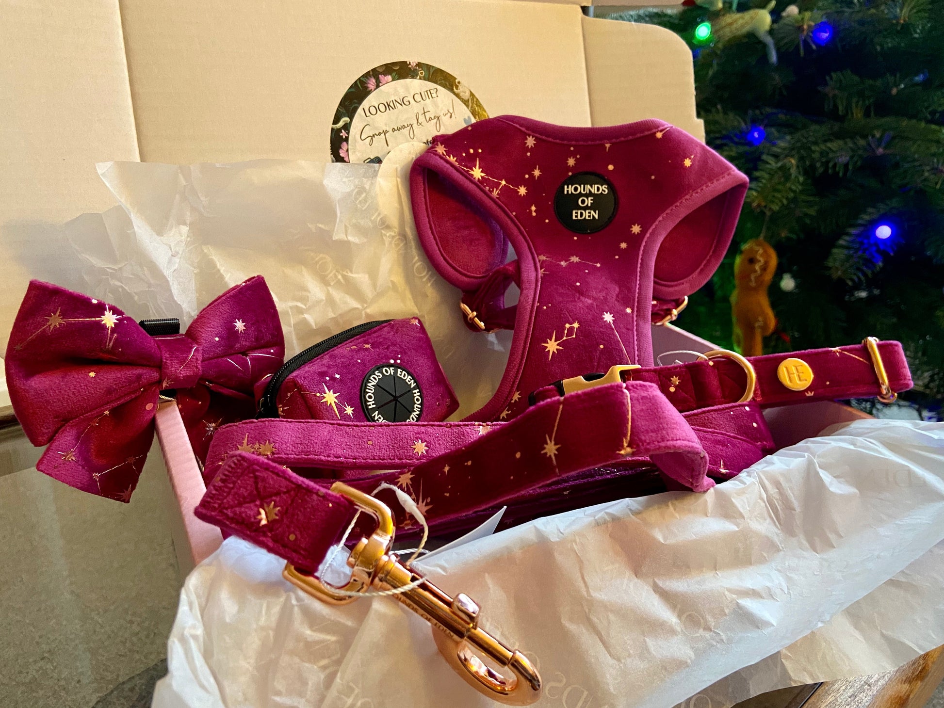 Magenta Sky Velvet Harness - The Bark Market