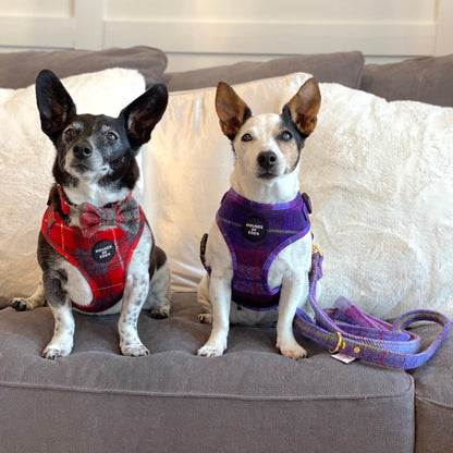 'Molly' - Pink & Purple Check Dog Harness - The Bark Market