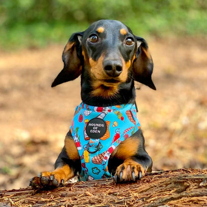 Grill 'n' Chill - Dog Harness - The Bark Market