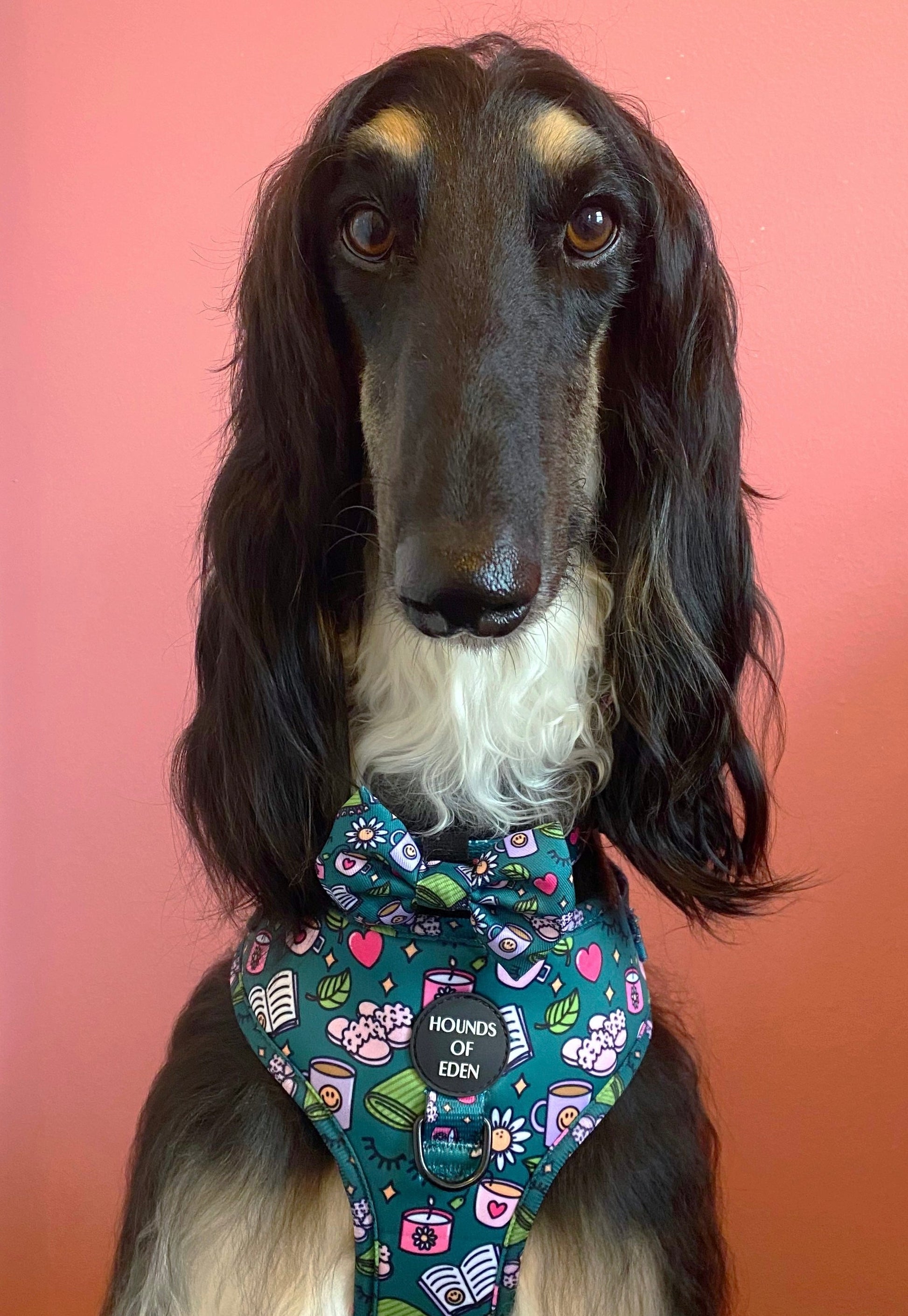 Self Care Design Dog Harness - The Bark Market