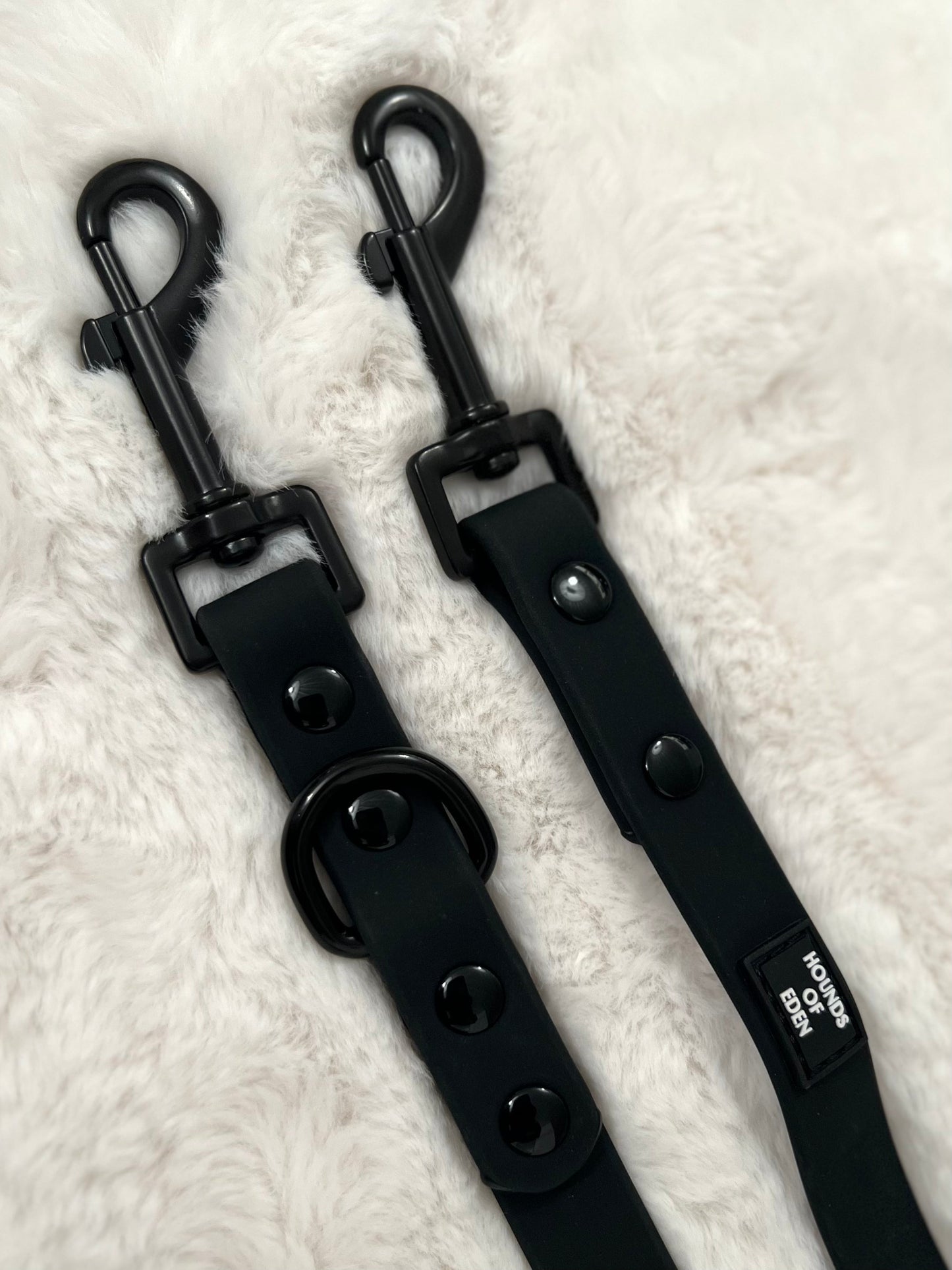 Black Waterproof 2m Training Lead - The Bark Market