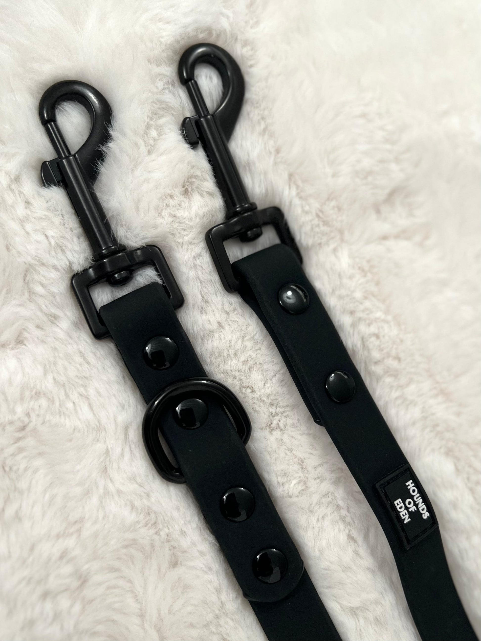 Black Waterproof 2m Training Lead - The Bark Market